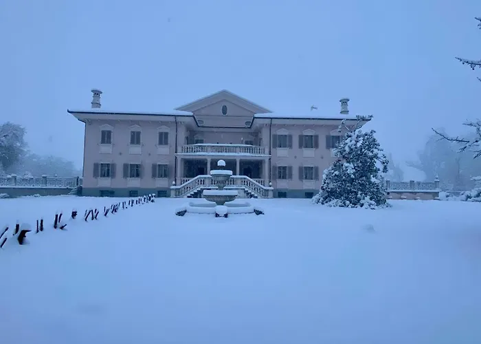 Oasi Di